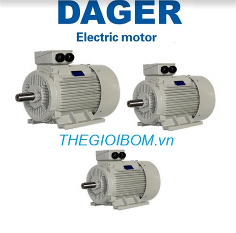 Động cơ điện DAGER-DG series